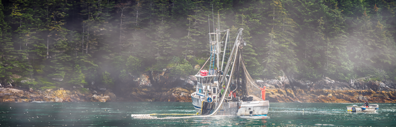 A fishing boat puts out a net