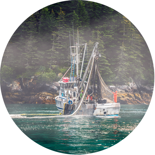 Commercial Fishing Boat