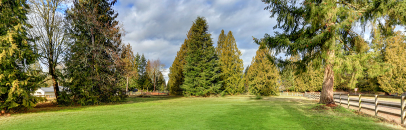 A large fenced yard with trees in the distance