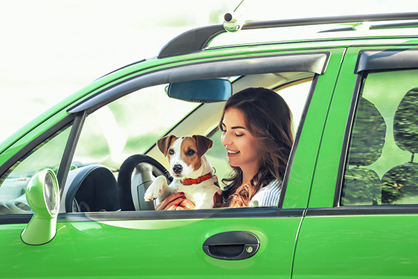 Auto Loans Card
